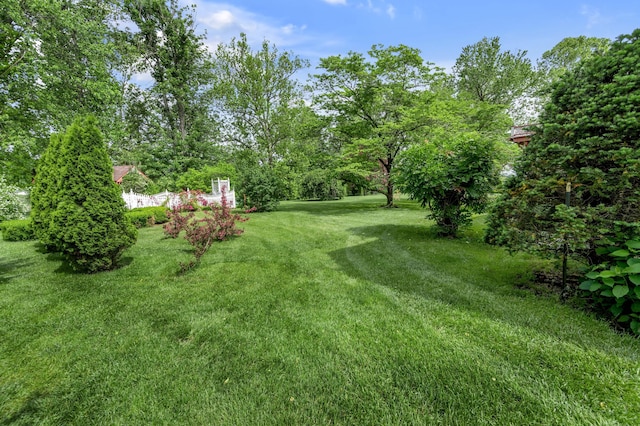 1023 Riverside Dr, Greenup, KY 41144 - view of green lawn