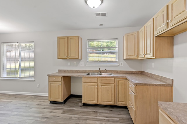 kitchen with a sink, light brown cabinets, visible vents, and a healthy amount of sunlight