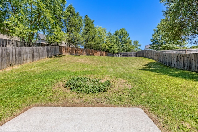 view of yard with a fenced backyard and a patio