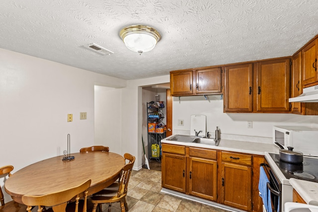 858 Lylesville St, Paris, KY 40361 - kitchen with electric stove, white microwave, brown cabinets, and a textured ceiling