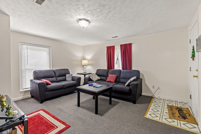 858 Lylesville St, Paris, KY 40361 - living area with carpet floors, a textured ceiling, and baseboards