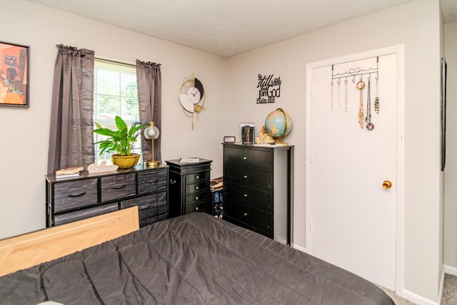 bedroom featuring carpet floors