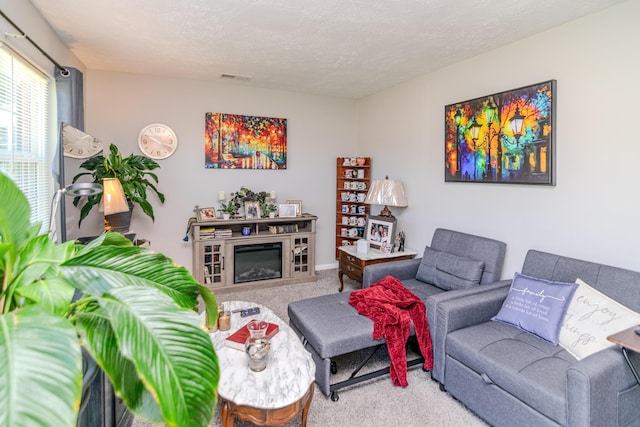 carpeted living room featuring a textured ceiling