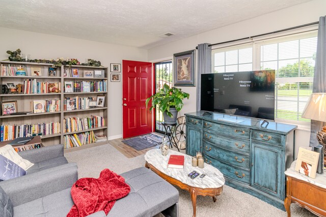 living area featuring a textured ceiling and light colored carpet