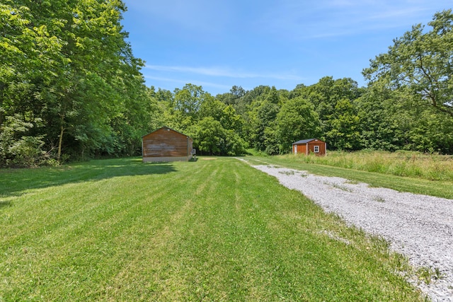 view of yard with a storage shed