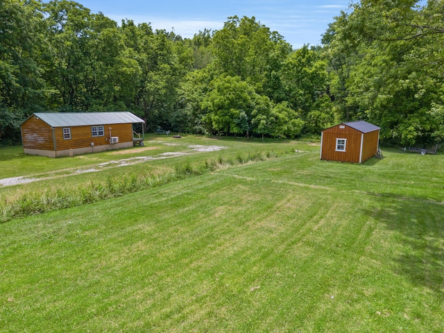 view of yard with a shed