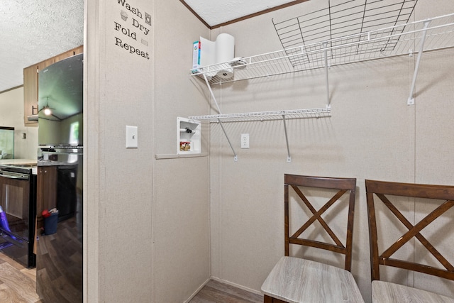 clothes washing area featuring ornamental molding and hardwood / wood-style flooring