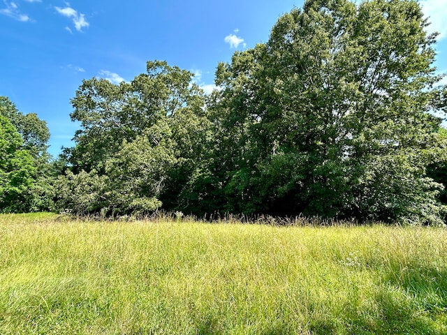 Listing photo 3 for LOT24A Beechwood Dr, Nancy KY 42544