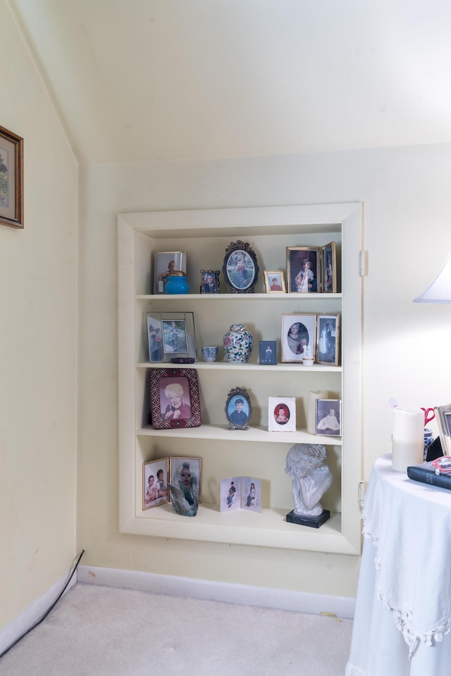 room details featuring carpet floors