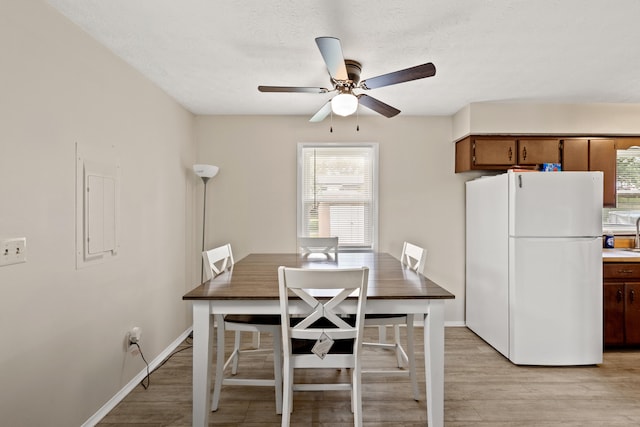 dining room featuring ceiling fan and light wood-type flooring