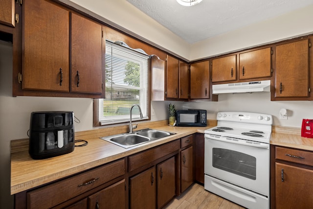 kitchen with white electric stove, light wood-type flooring, and sink