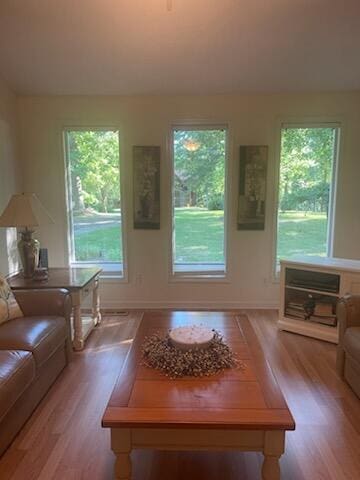 interior space featuring light hardwood / wood-style floors and a healthy amount of sunlight