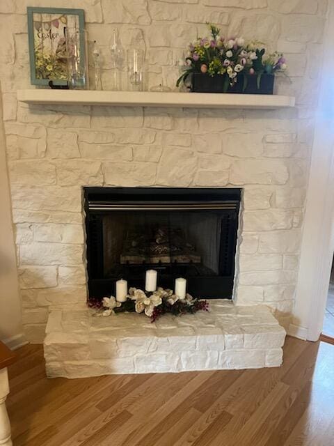 details featuring a stone fireplace and wood-type flooring