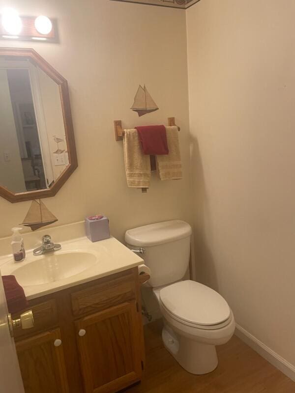 bathroom featuring vanity, toilet, and wood-type flooring