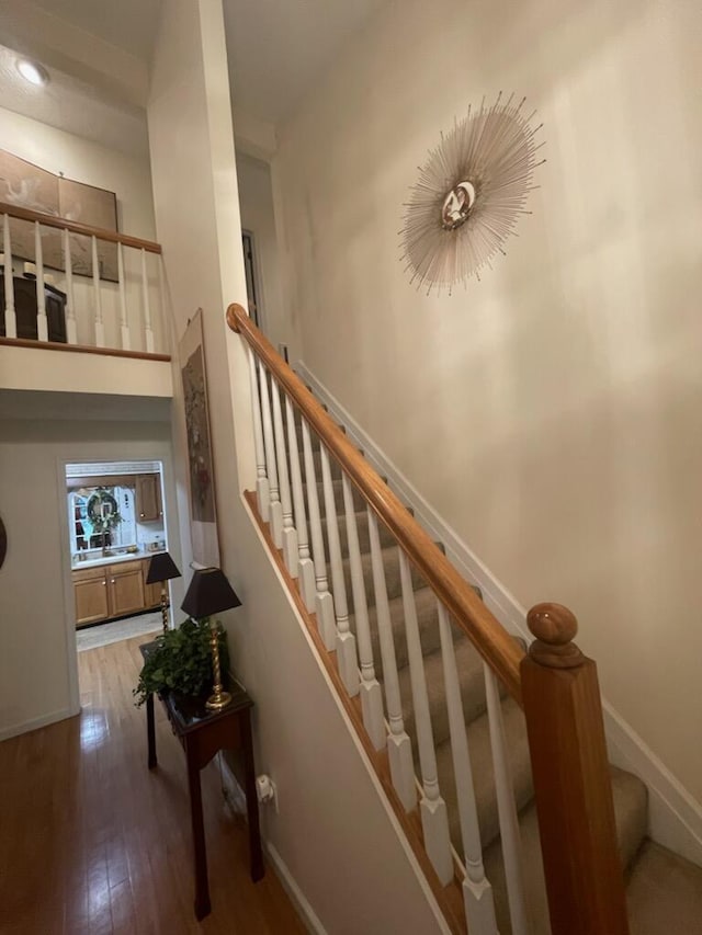 staircase featuring wood-type flooring