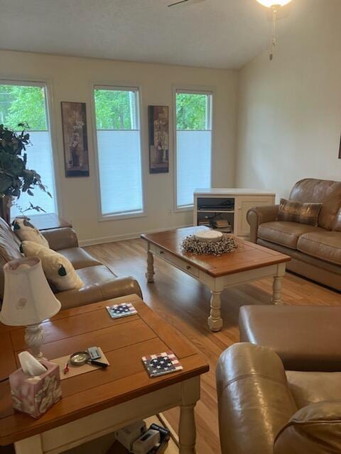 living room with light wood-type flooring