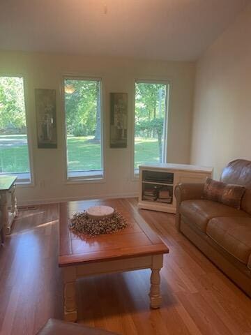 living room with wood-type flooring