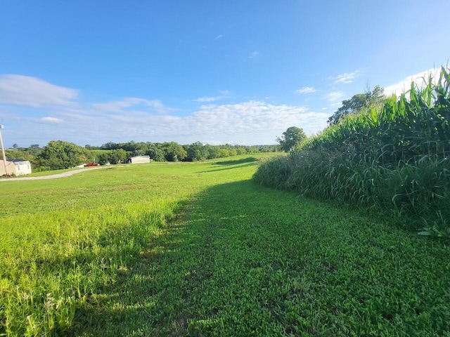 view of yard with a rural view