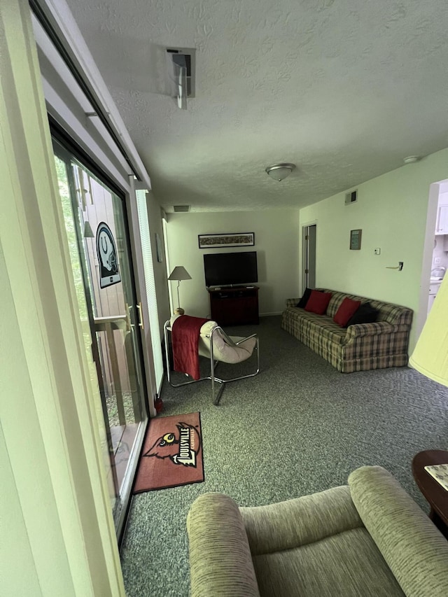 living room with carpet and a textured ceiling