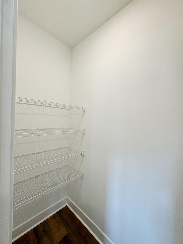 walk in closet featuring hardwood / wood-style floors