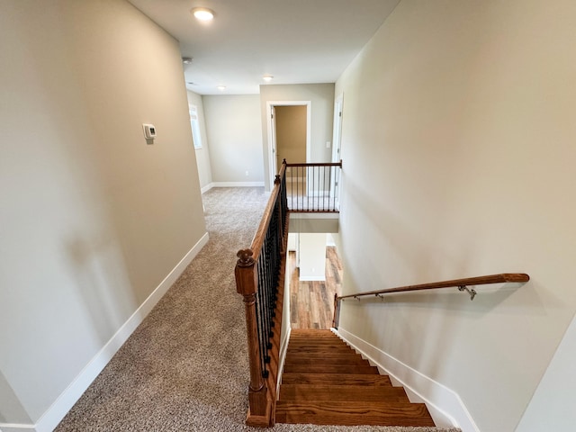 stairs with carpet