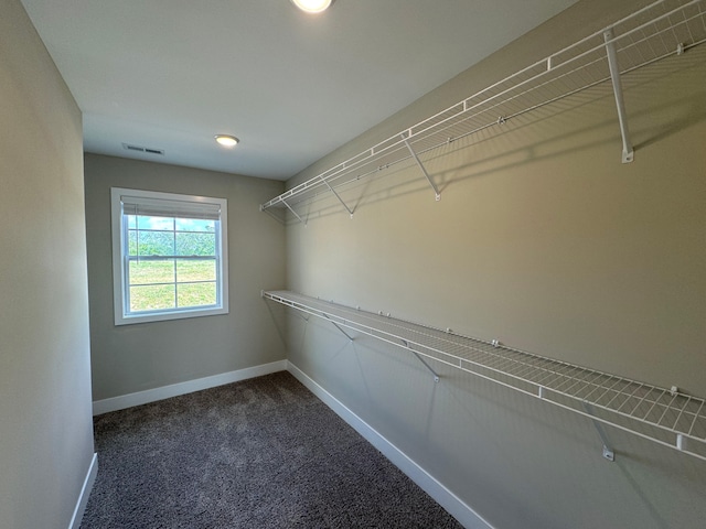 spacious closet with carpet