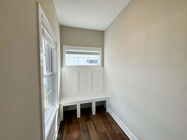 mudroom featuring dark wood-type flooring