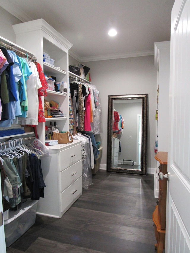 spacious closet with dark wood-style flooring