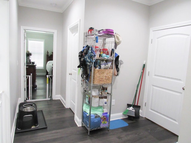 interior space with wood finished floors, baseboards, and ornamental molding