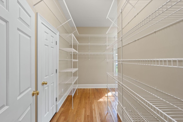 walk in closet featuring hardwood / wood-style flooring