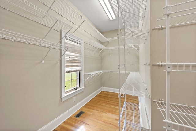 walk in closet with hardwood / wood-style flooring