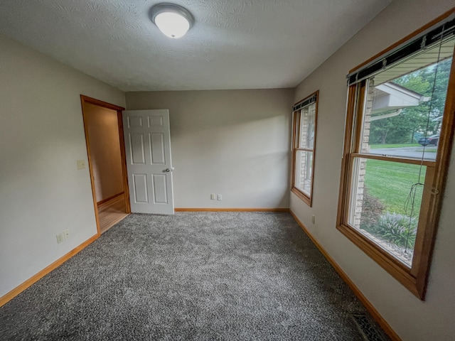 carpeted empty room with a textured ceiling and a healthy amount of sunlight