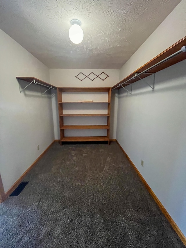 walk in closet featuring carpet