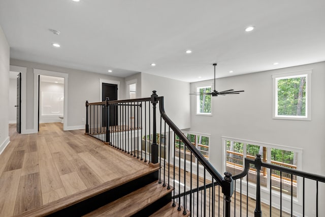 stairway featuring ceiling fan and hardwood / wood-style floors