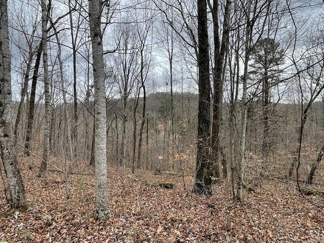 LOT20 Haynes Knob Rd, Somerset KY, 42501 land for sale