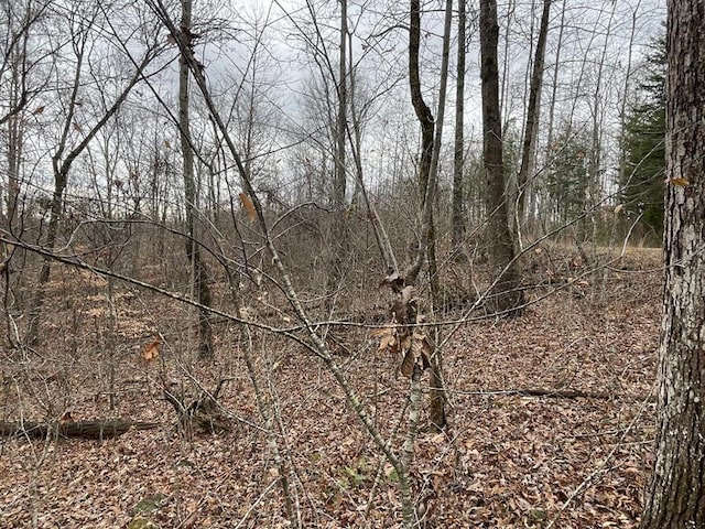 Listing photo 2 for LOT20 Haynes Knob Rd, Somerset KY 42501