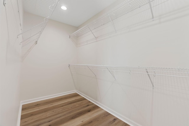 walk in closet with wood finished floors