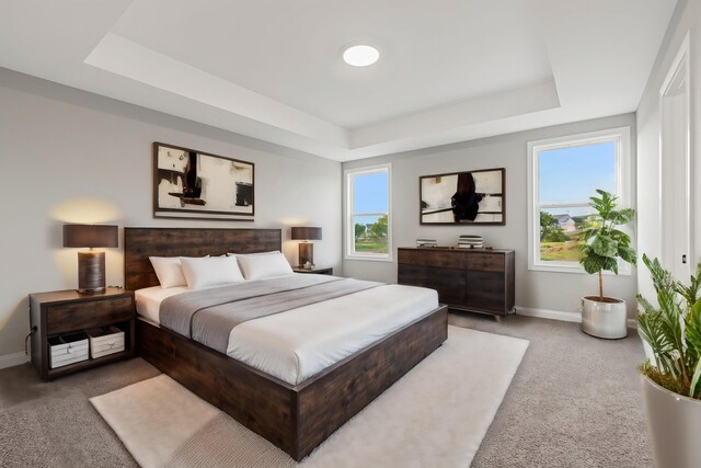 bedroom with carpet flooring and a raised ceiling