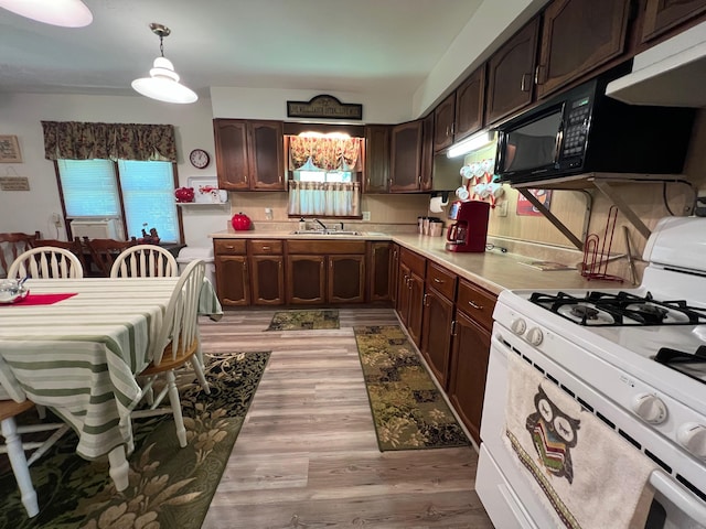 kitchen with white range, sink, light wood-type flooring, and dark brown cabinetry