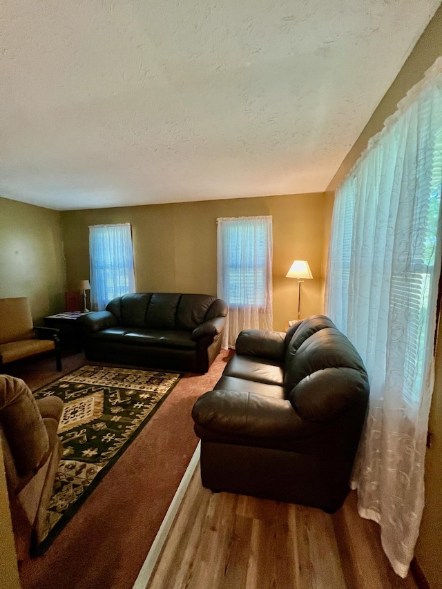 living room featuring hardwood / wood-style flooring, a textured ceiling, and plenty of natural light