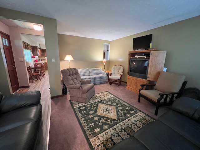 living room featuring carpet