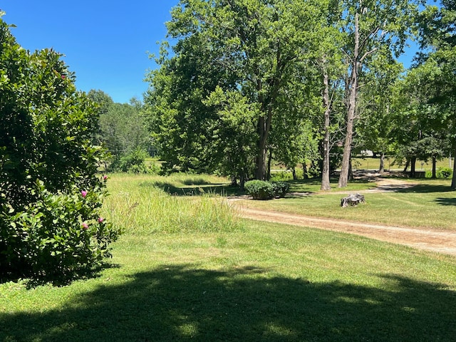 surrounding community featuring a lawn