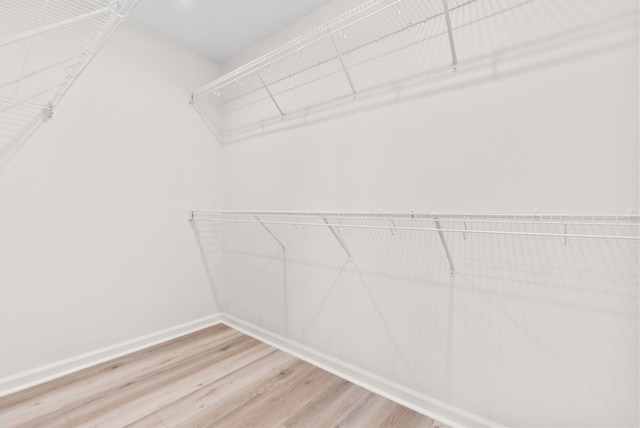 walk in closet featuring hardwood / wood-style floors