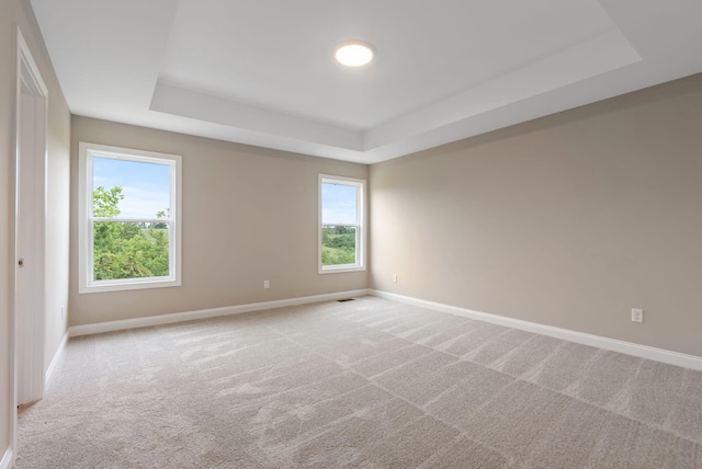 carpeted empty room featuring a raised ceiling