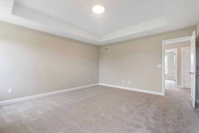 unfurnished room with a raised ceiling and light carpet