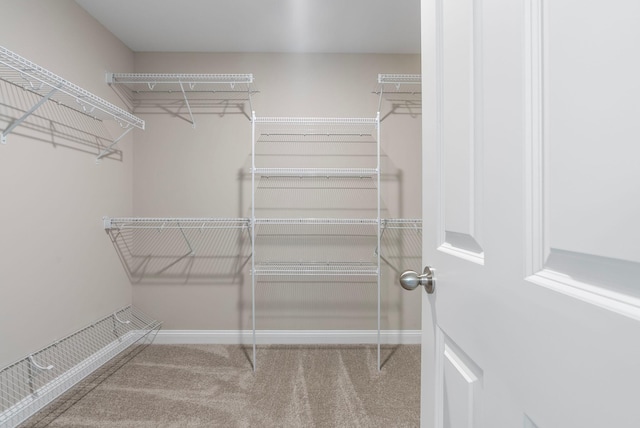 walk in closet featuring carpet floors