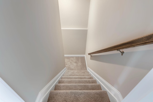 stairway with carpet flooring