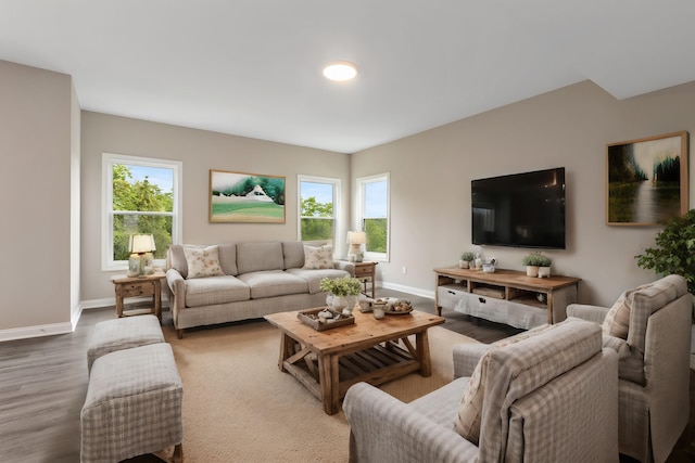 living room with wood-type flooring and a healthy amount of sunlight