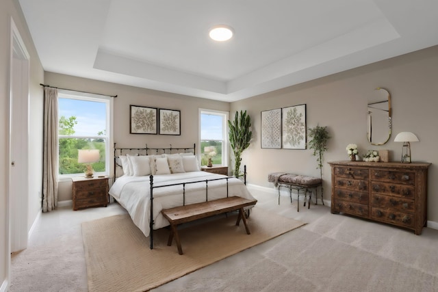 carpeted bedroom with a tray ceiling