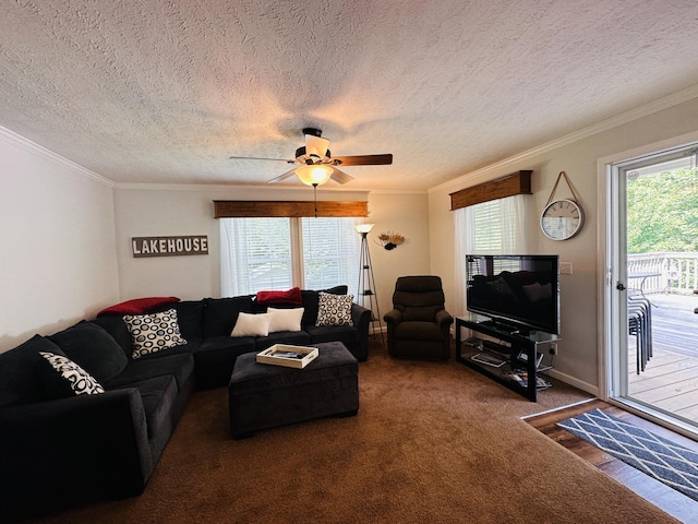 carpeted living room featuring ceiling fan, ornamental molding, and a textured ceiling